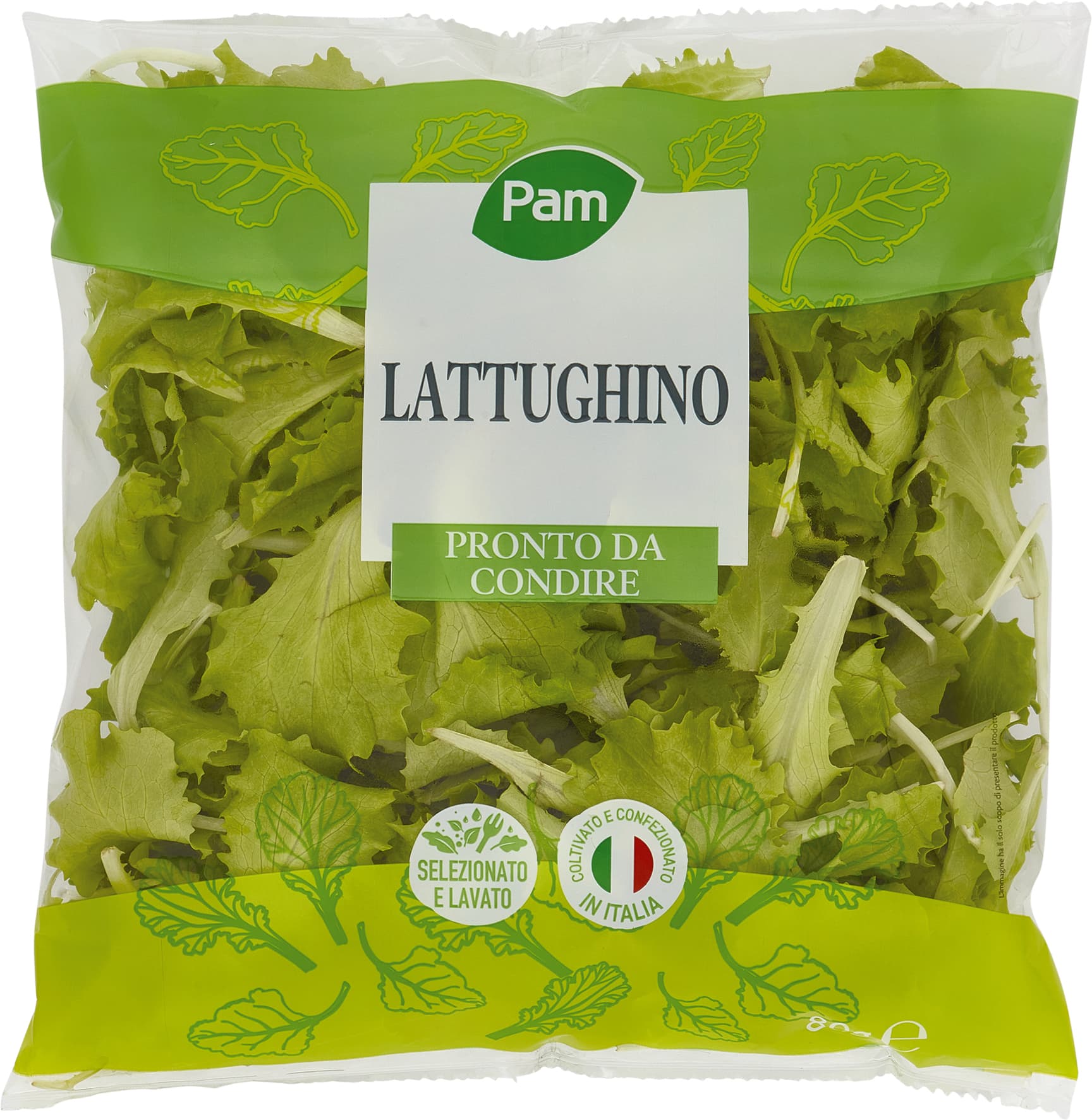 Lattughino PAM