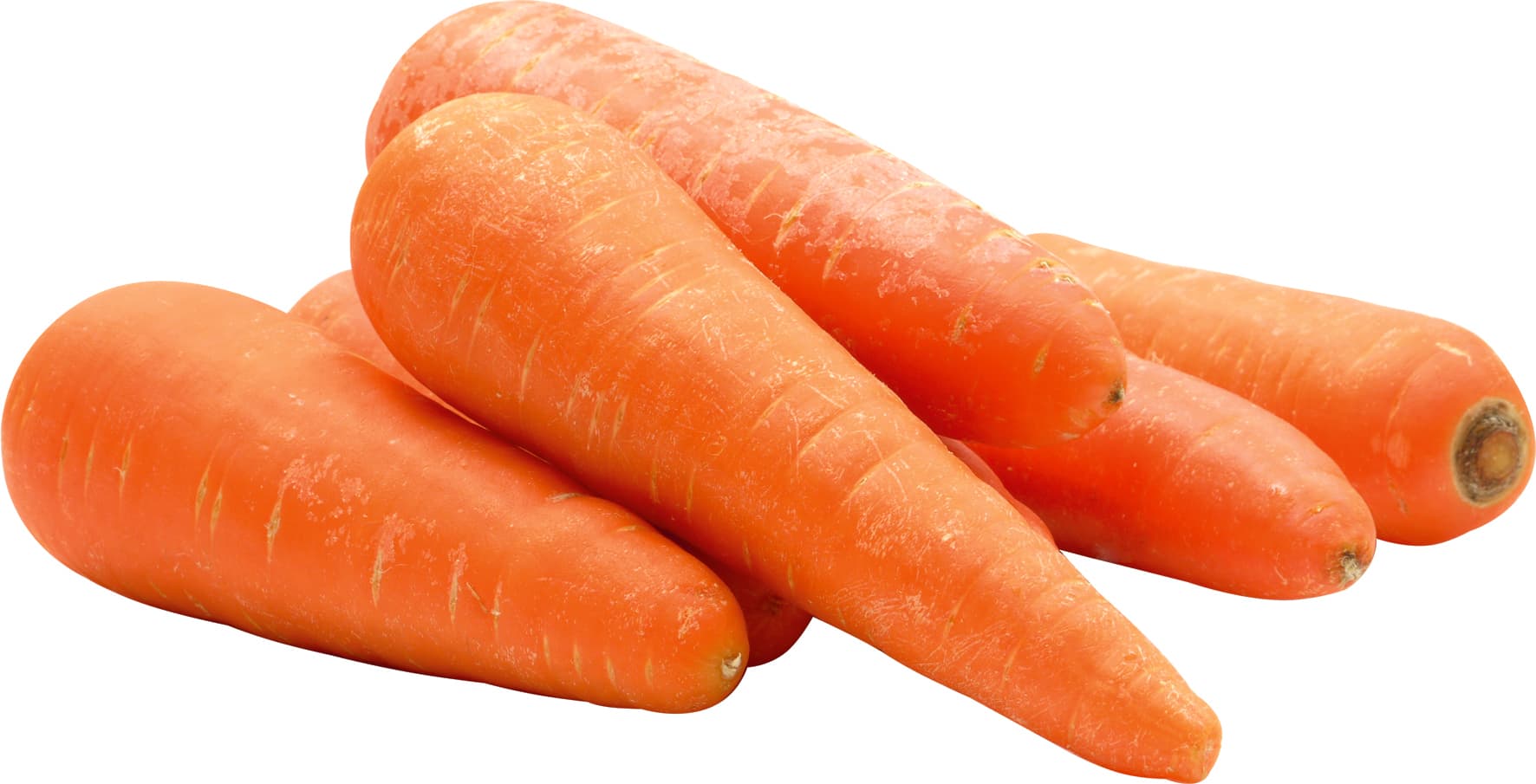 Carota PAM