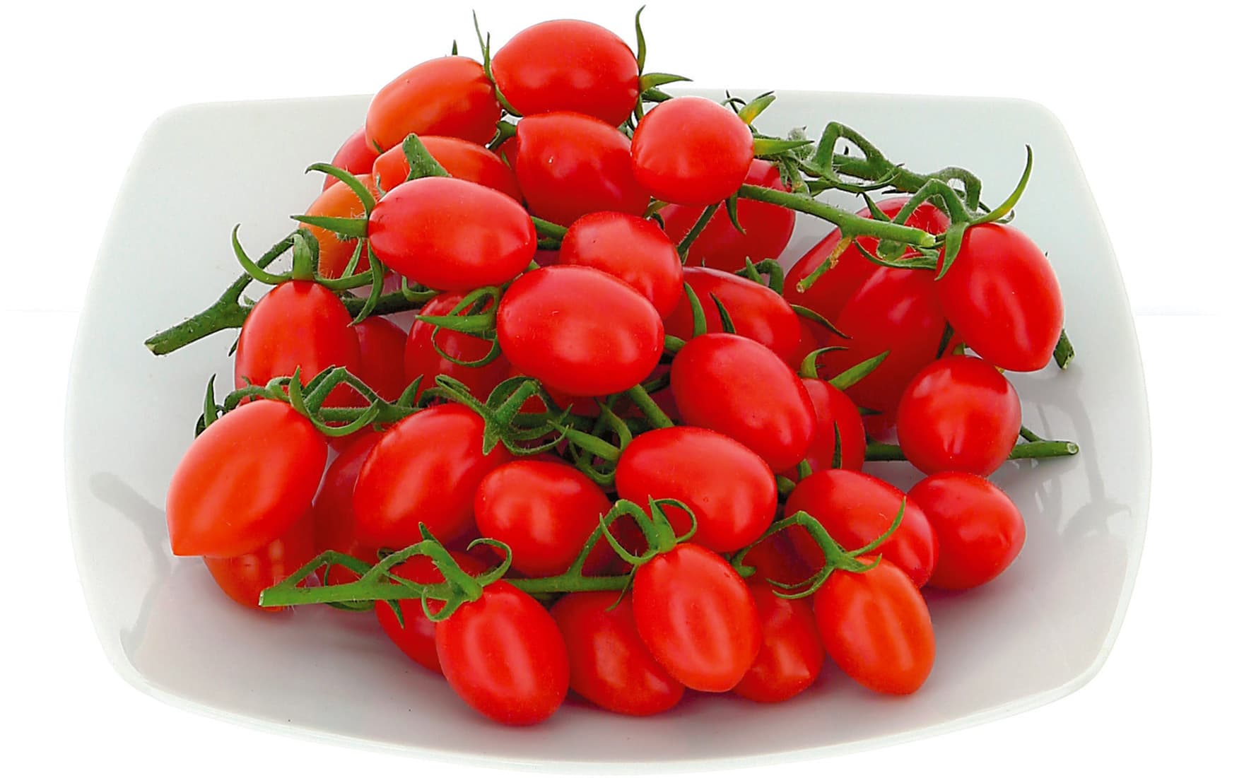 Pomodorini PAM
