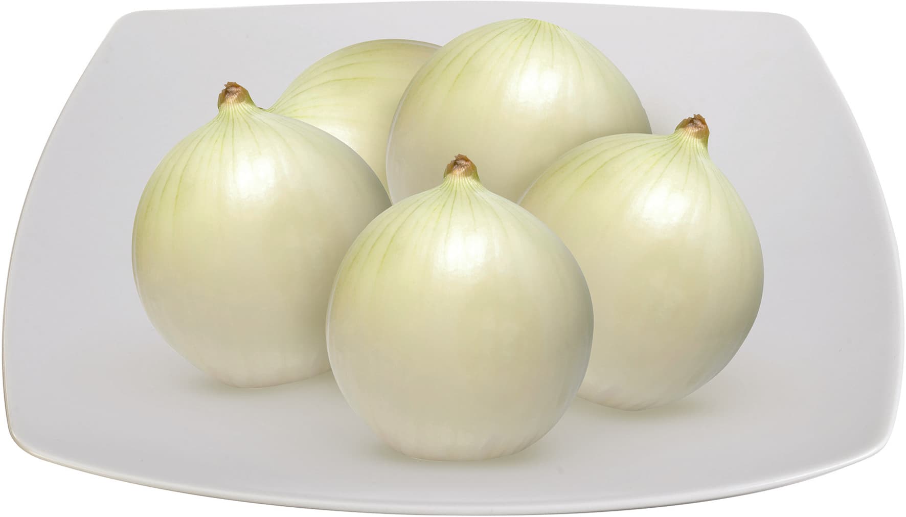 Cipolla PAM