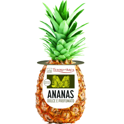 Ananas maturo in pianta Tesori dell’Arca