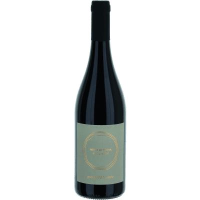 Nero di Troia Puglia IGP 2019 75 cl