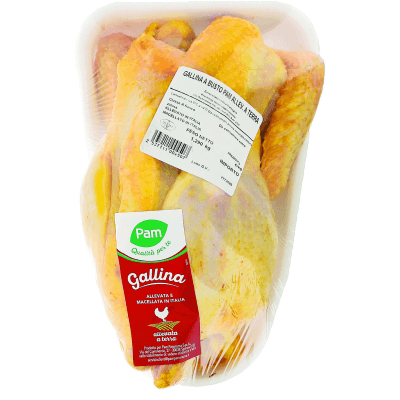 Gallina busto