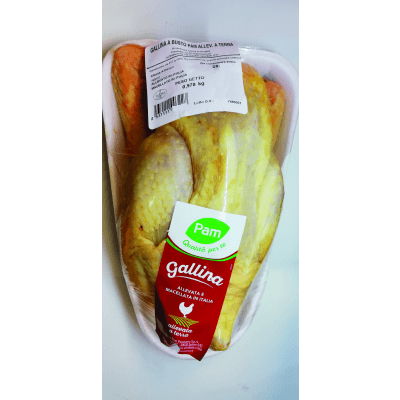 Gallina busto