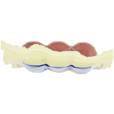 PAM PANORAMA Würstel di tacchino e pollo 250 g – immagine 13