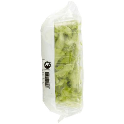 PAM Lattughino 100 g – immagine 12