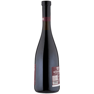 Lambrusco Modena DOC Rubinante 75 cl – immagine 12