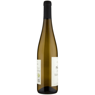 Alto Adige DOC Muller Thurgau - Von Steiner – immagine 10