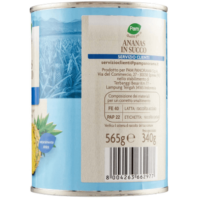 PAM Qualità per te Ananas a Fette al naturale 565 g – immagine 12
