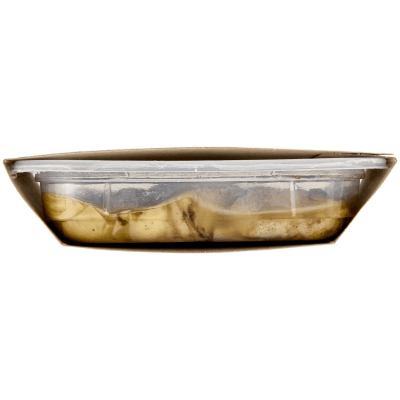 FRESCHE BONTÁ Carciofi Grigliati 230 g – immagine 14