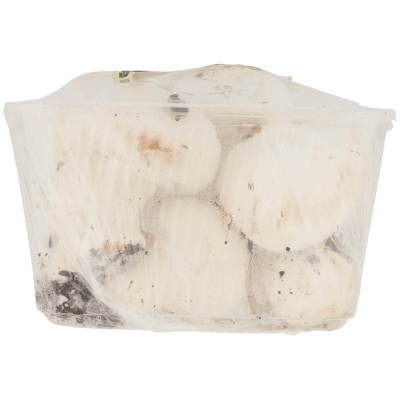 PAM Qualità per te Funghi Prataioli Coltivati 0,500 kg – immagine 14