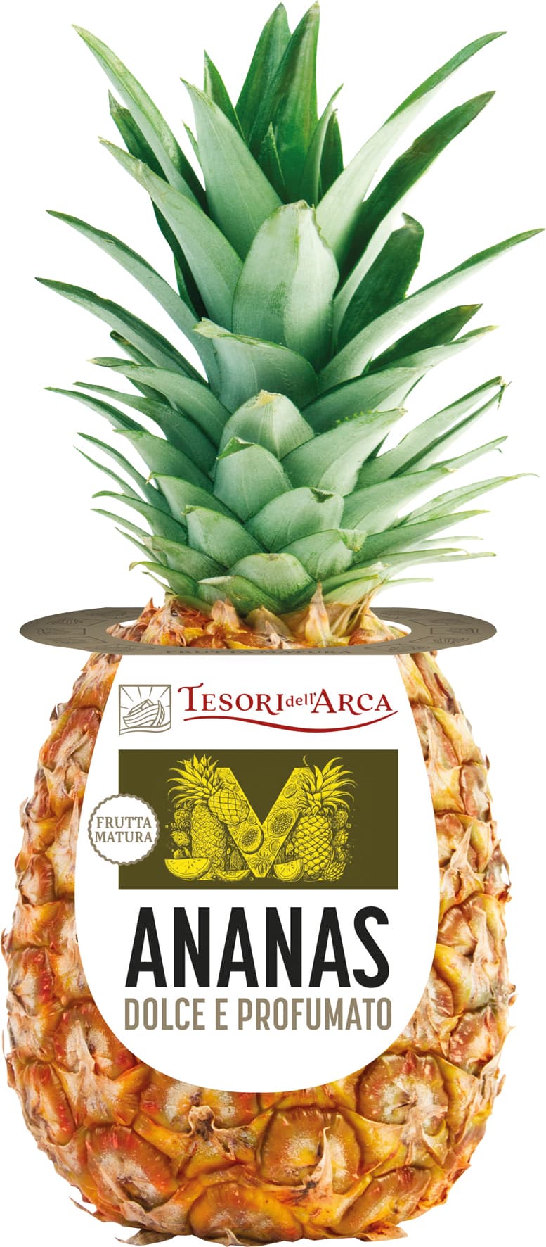 Ananas maturo in pianta Tesori dell’Arca – immagine 2