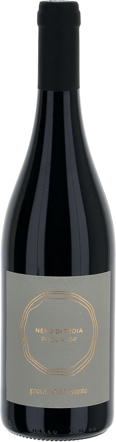 Nero di Troia Puglia IGP 2019 75 cl – immagine 2