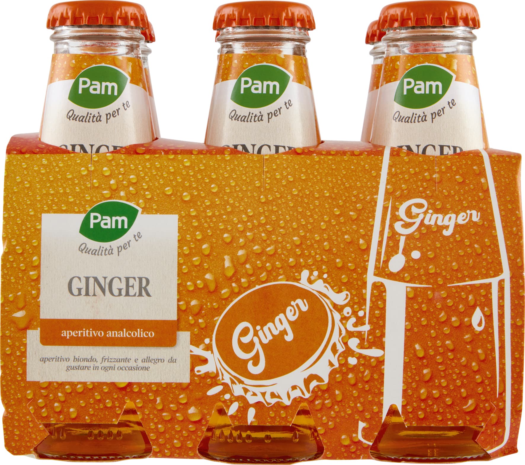 PAM PANORAMA Ginger 600 ml (100ml x 6) – immagine 2