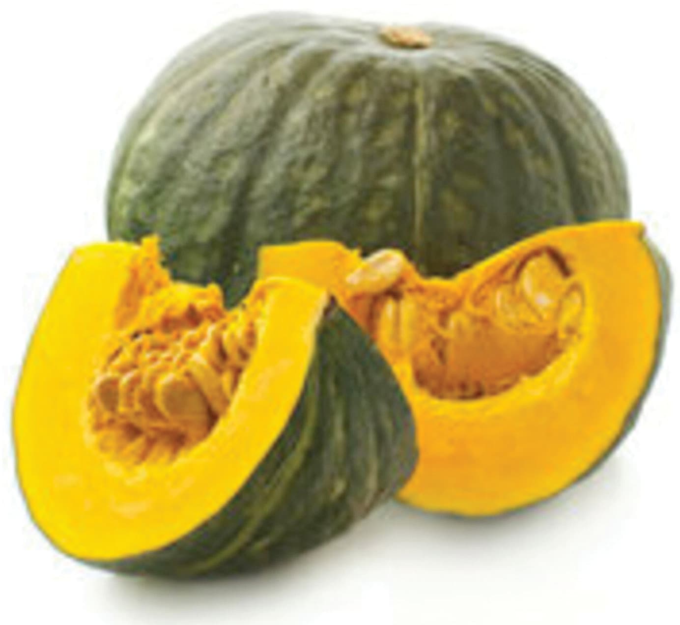 Zucca tagliata – immagine 2