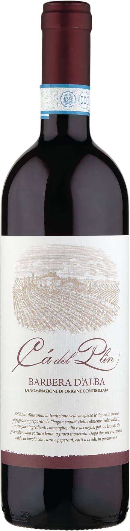 Cà del Plin Barbera d'Alba DOC 75 cl – immagine 2