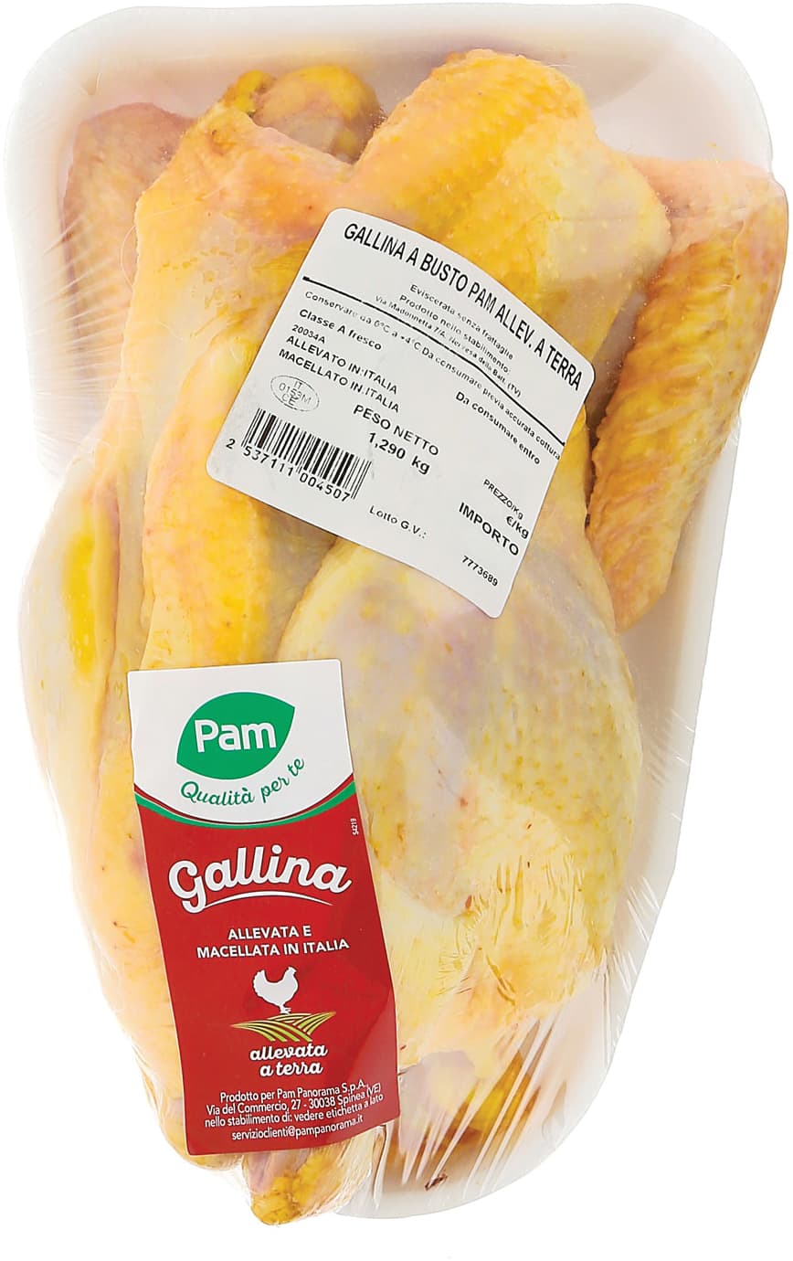 Gallina busto – immagine 2