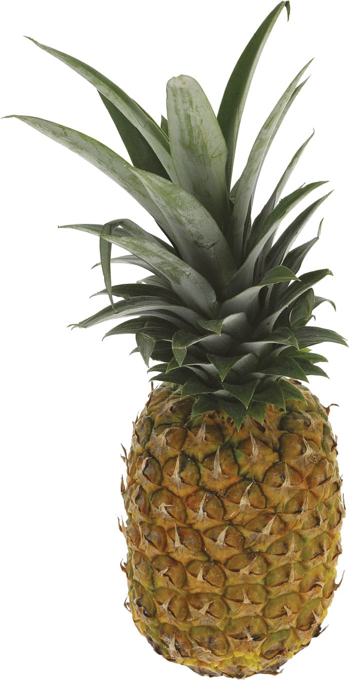 PAM ananas maturato pr – immagine 2