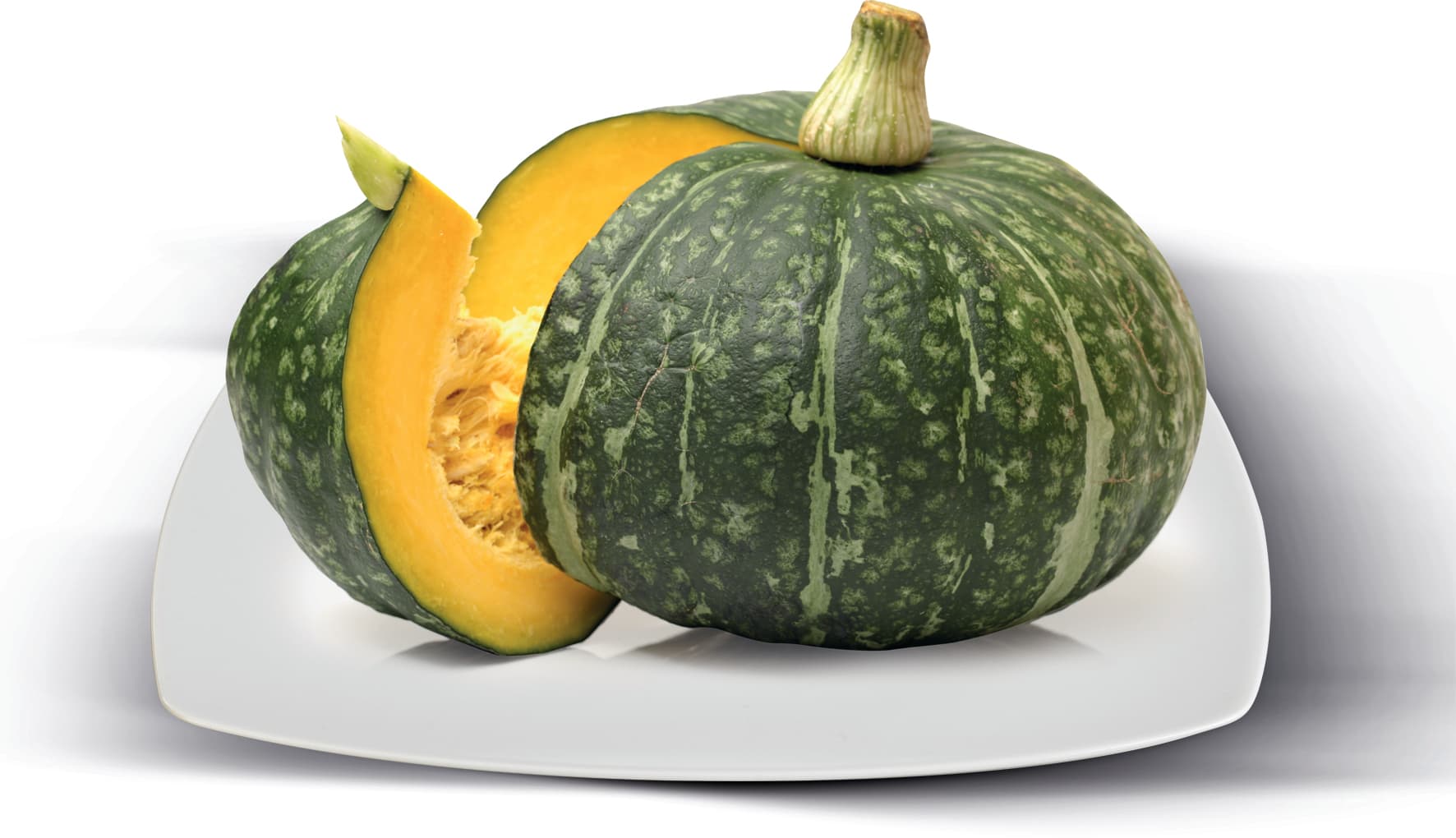 Zucca a meta' – immagine 2