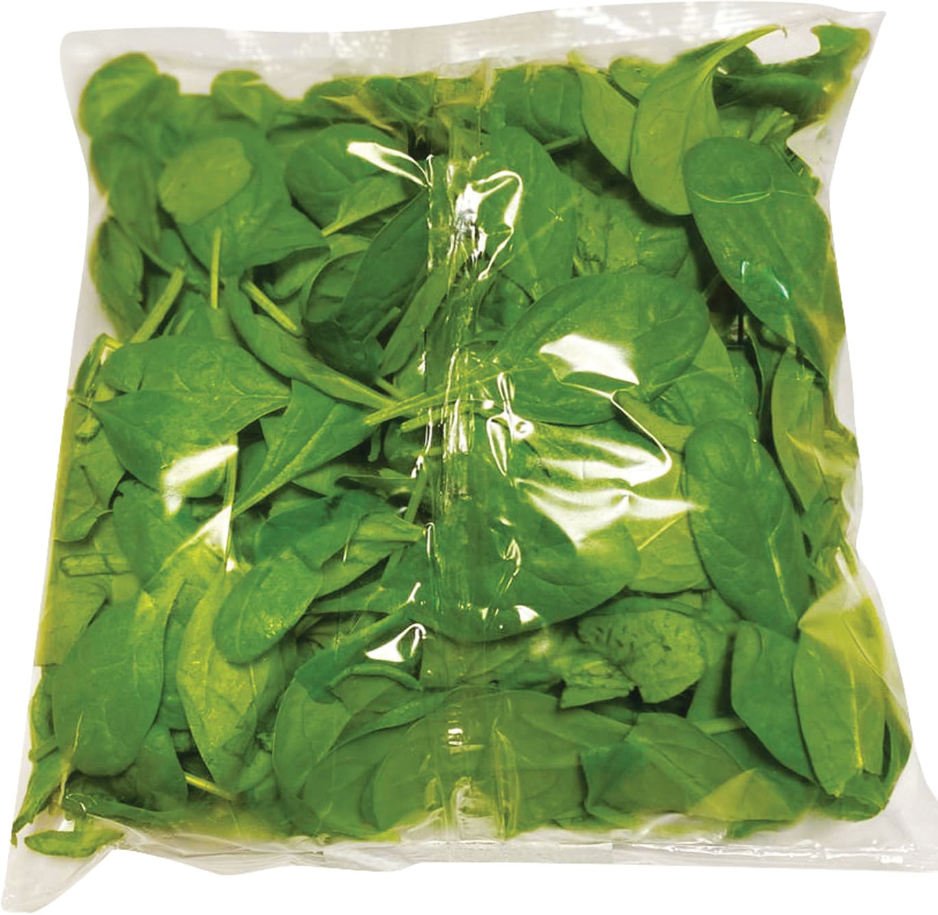 Spinacino 125 g – immagine 2