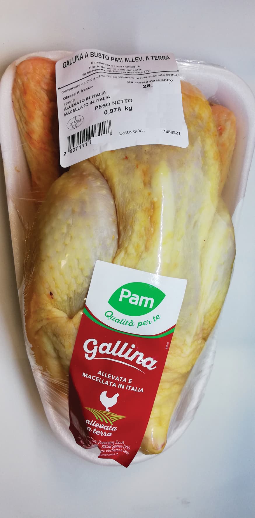 Gallina busto – immagine 2