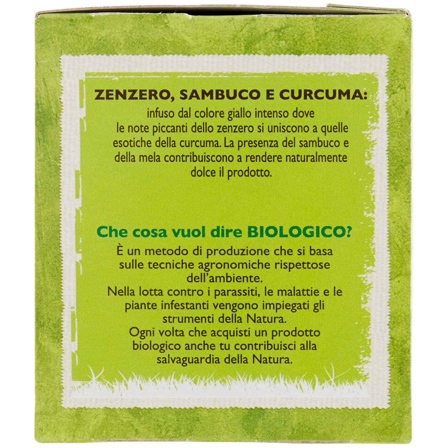 BIO Infuso di zenzero sambuco e curcuma 20 x 1,85 g – immagine 4