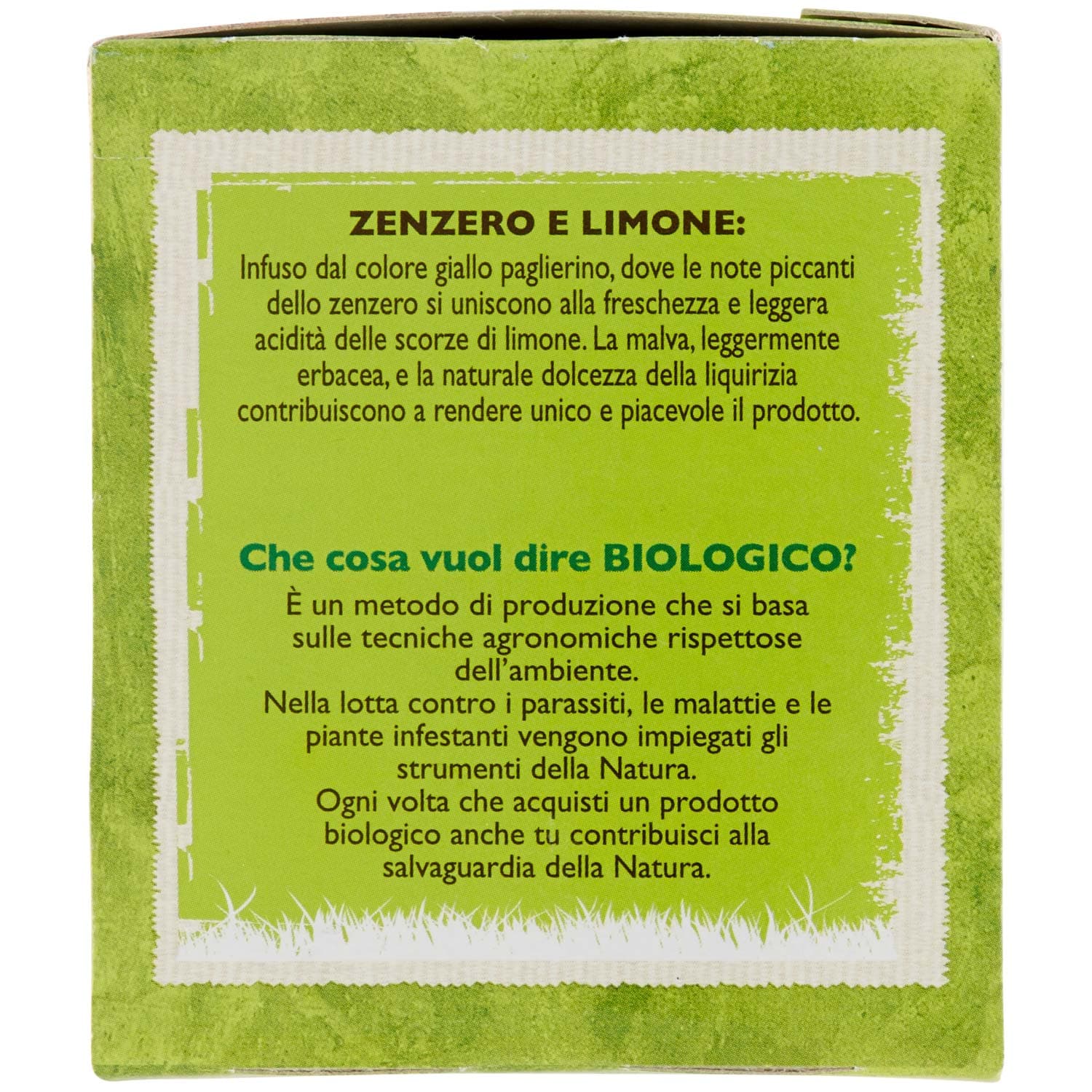 BIO Infuso di zenzero e limone 20 x 1,85 g – immagine 4