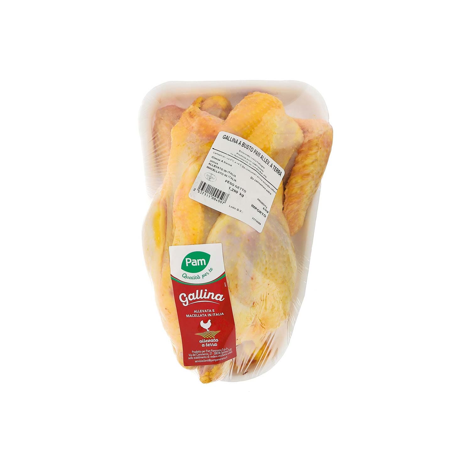 Gallina busto – immagine 3