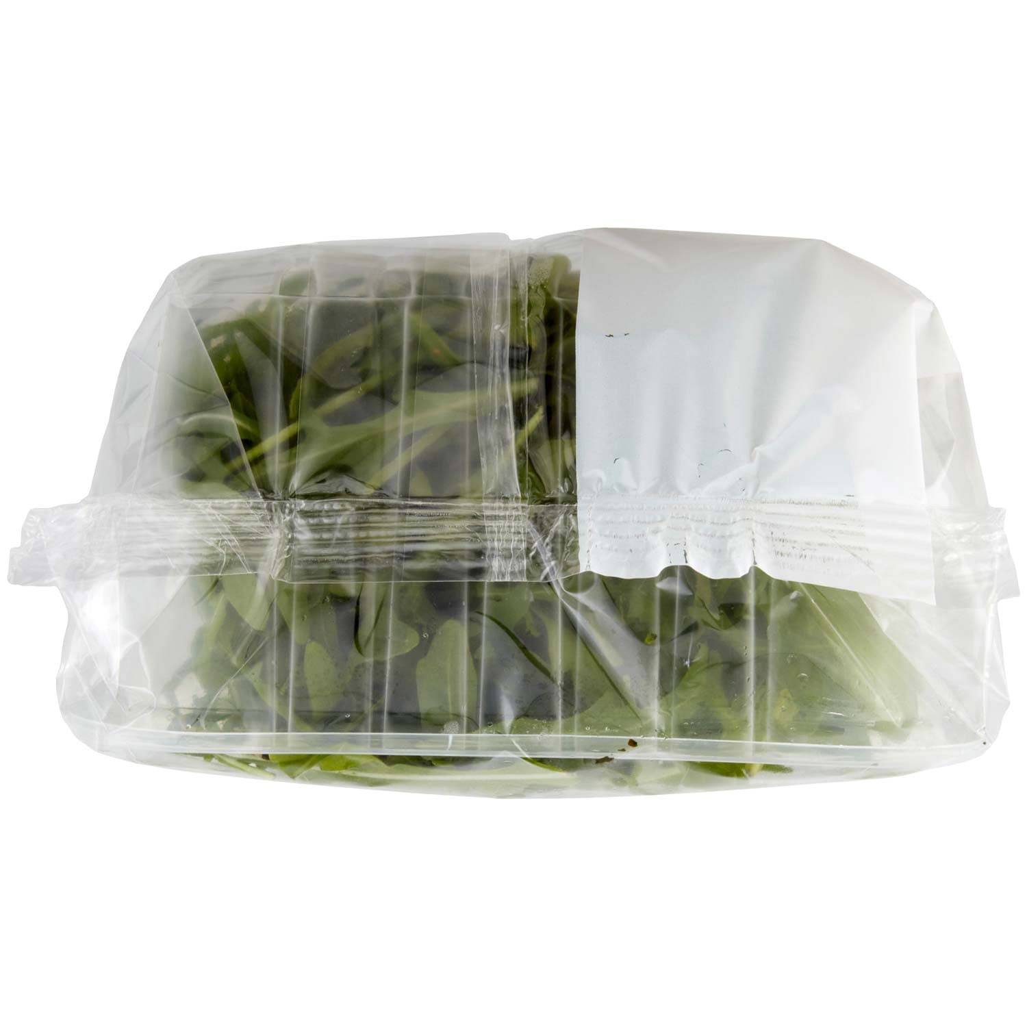 PAM Rucola 100 g – immagine 7