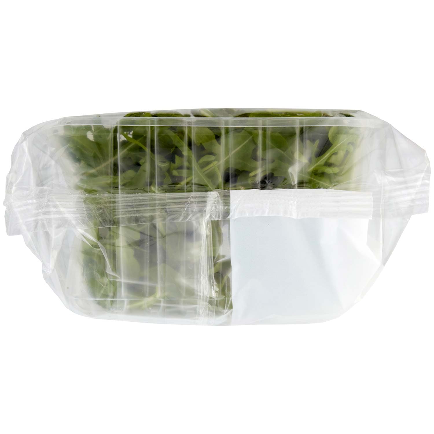 PAM Rucola 100 g – immagine 8