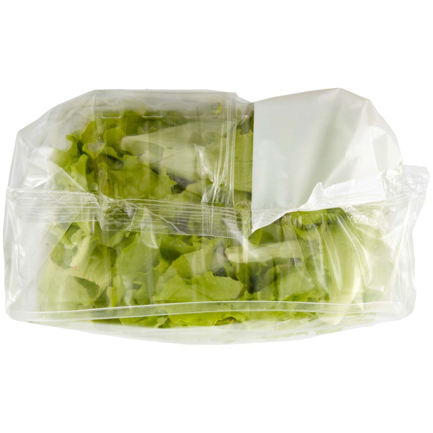 PAM Lattughino 100 g – immagine 7