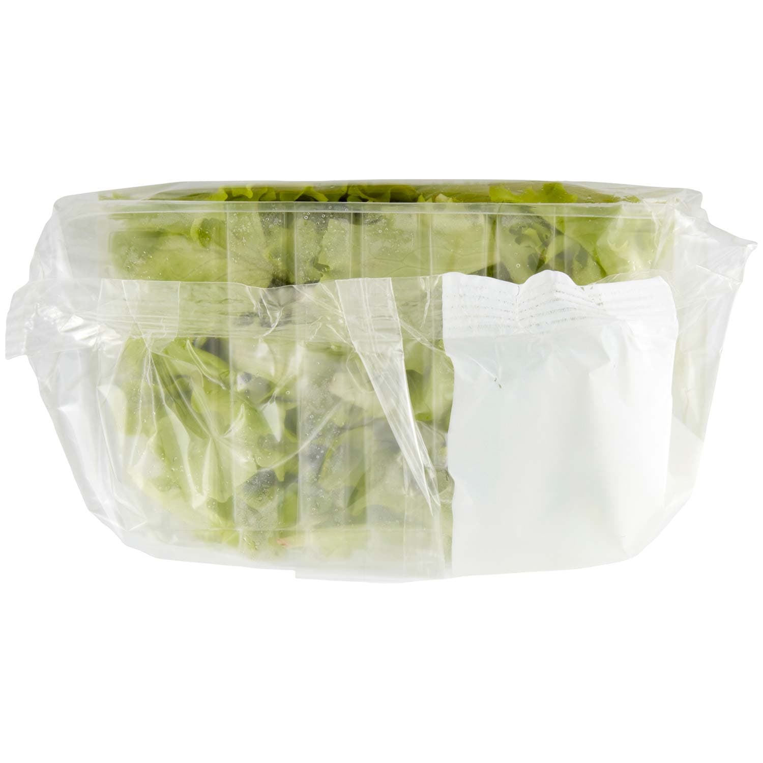PAM Lattughino 100 g – immagine 8