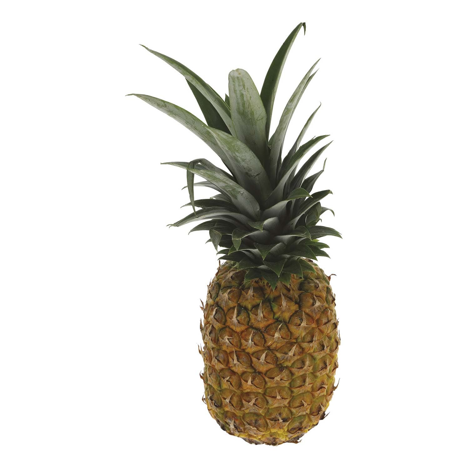PAM ananas maturato pr – immagine 3