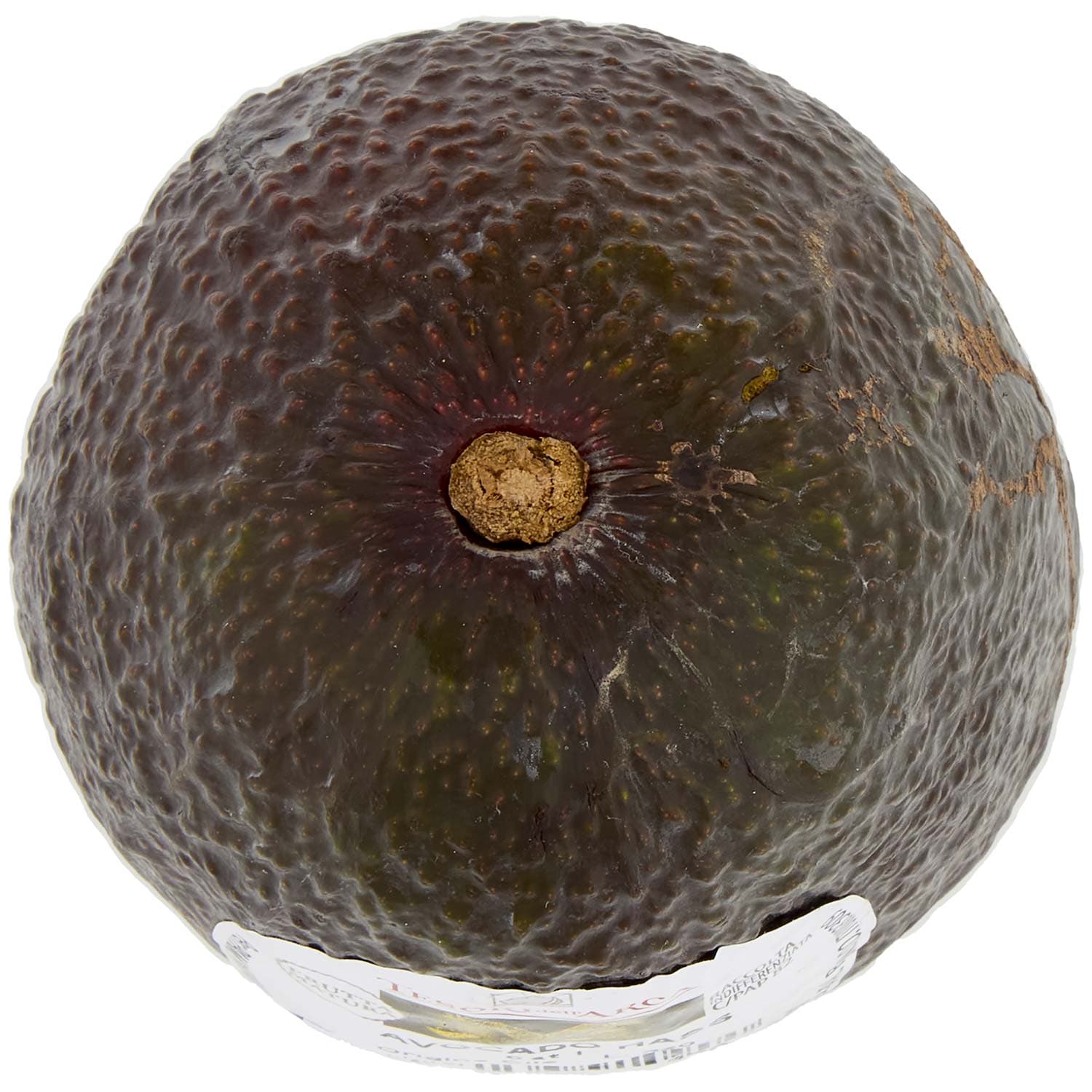 TESORI DELL'ARCA Avocado Hass 200 g – immagine 7