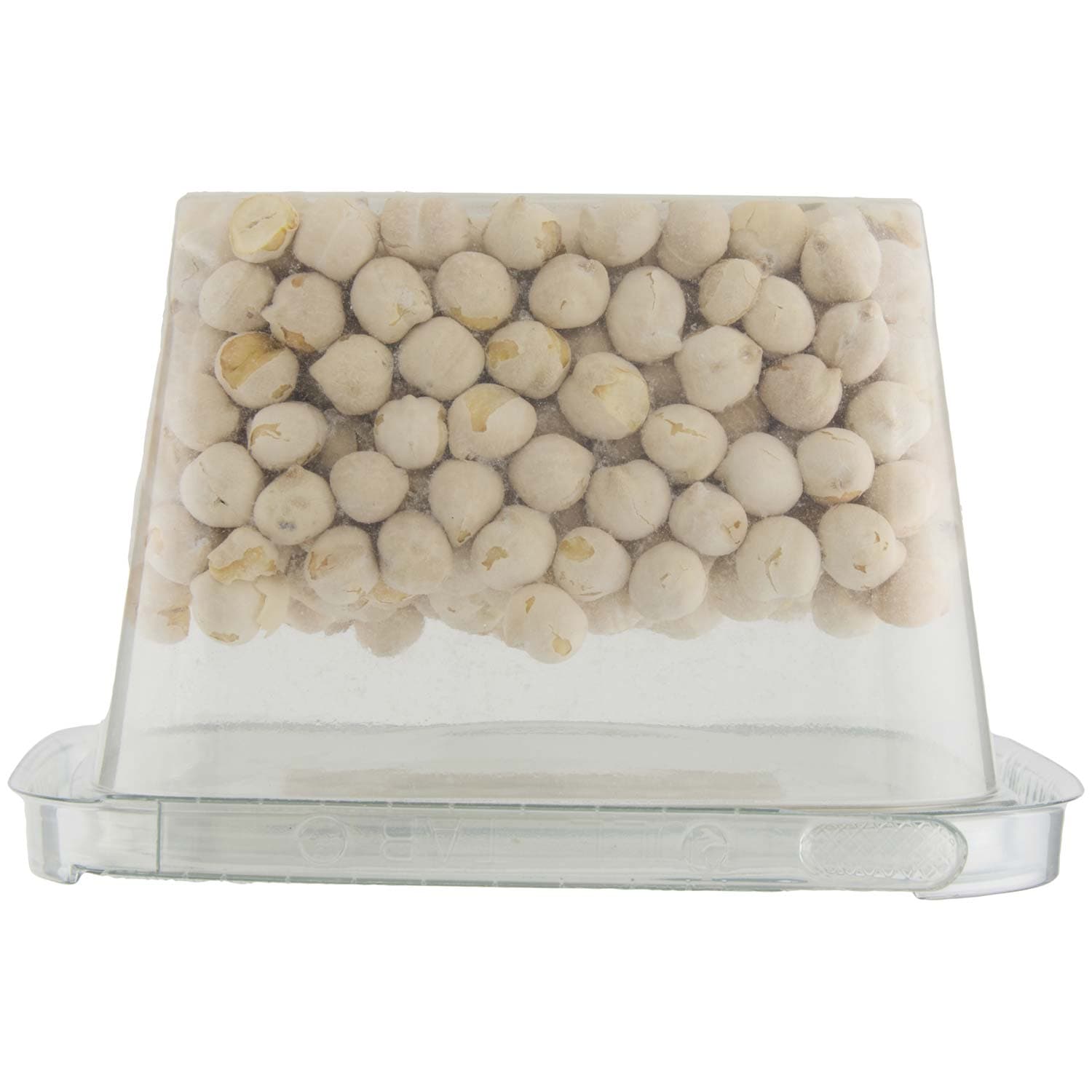 PAM Ceci Tostati e Salati 200 g – immagine 7