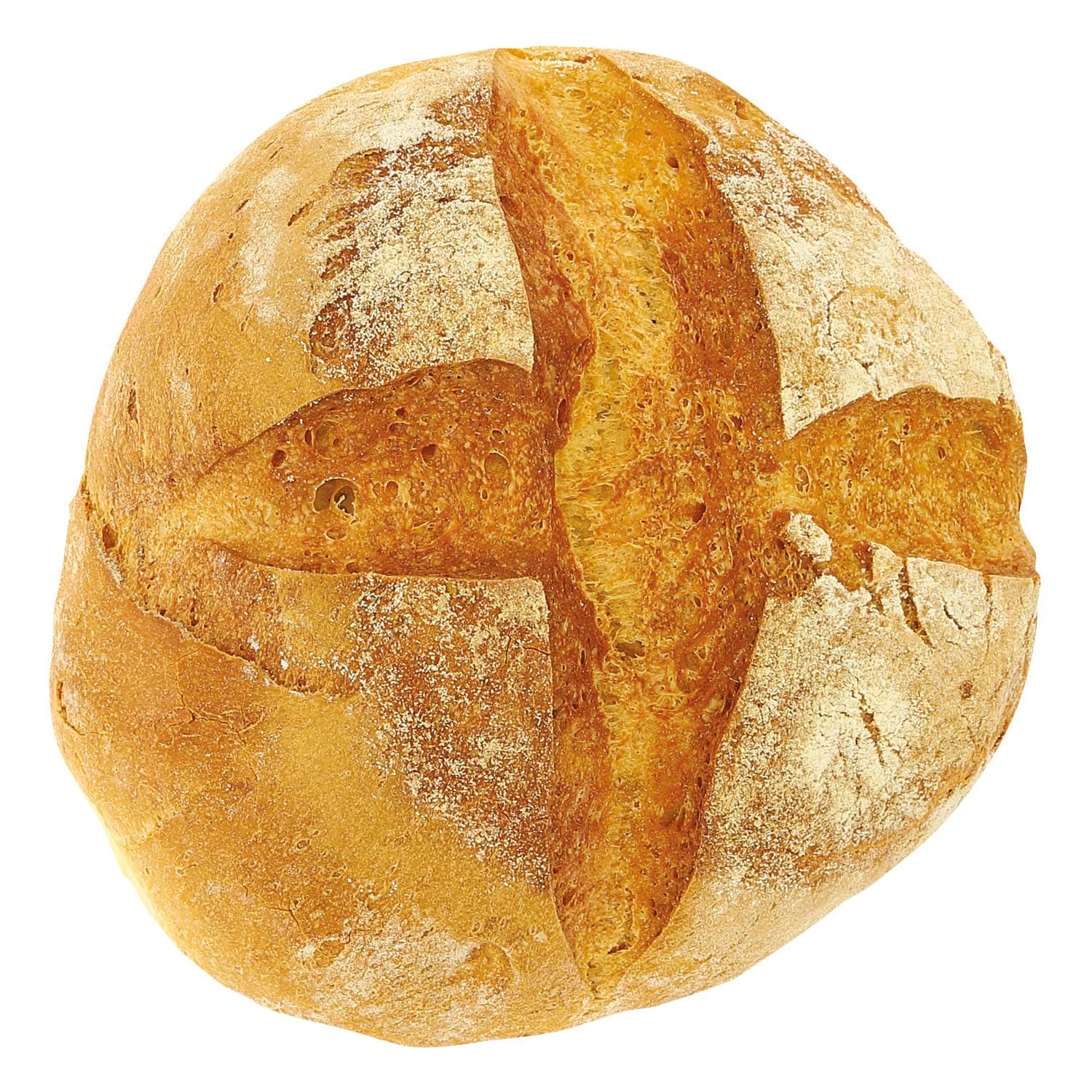 Pagnotta grano duro – immagine 5