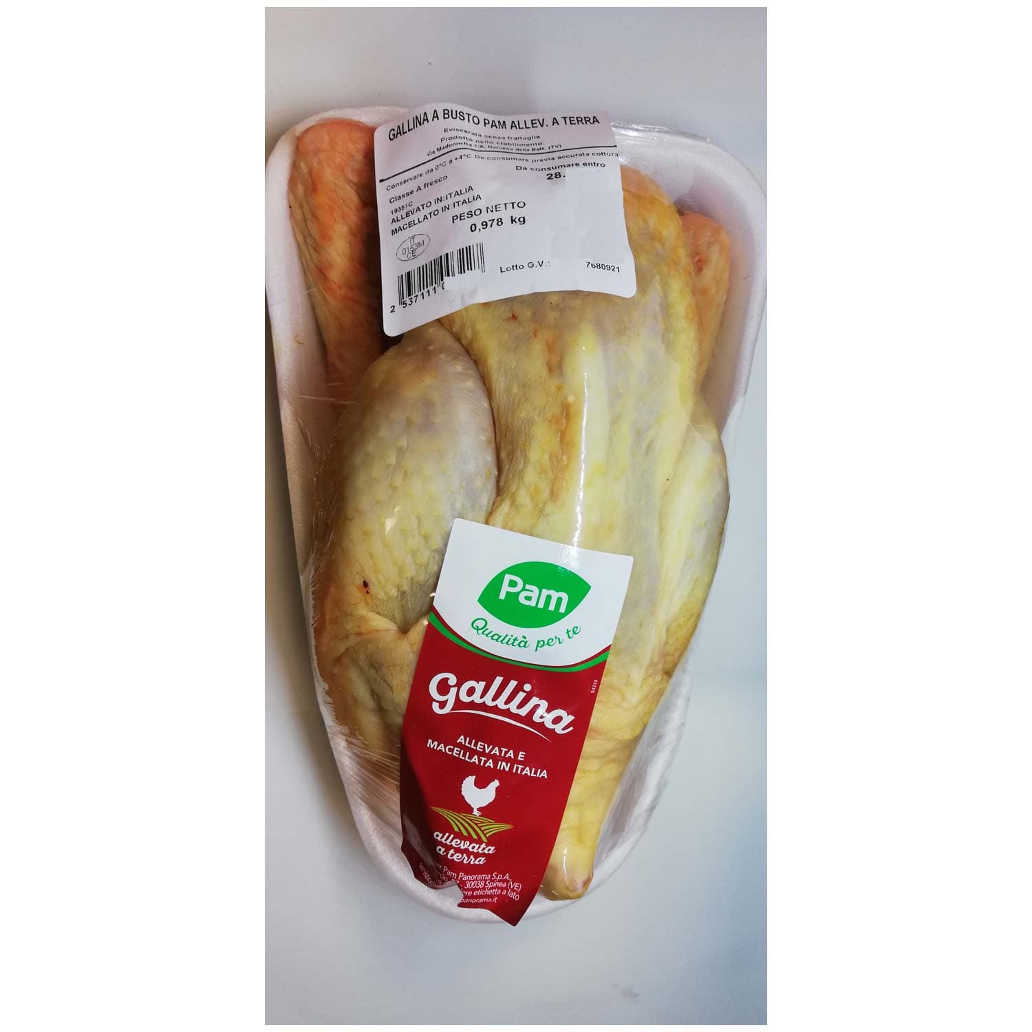 Gallina busto – immagine 3