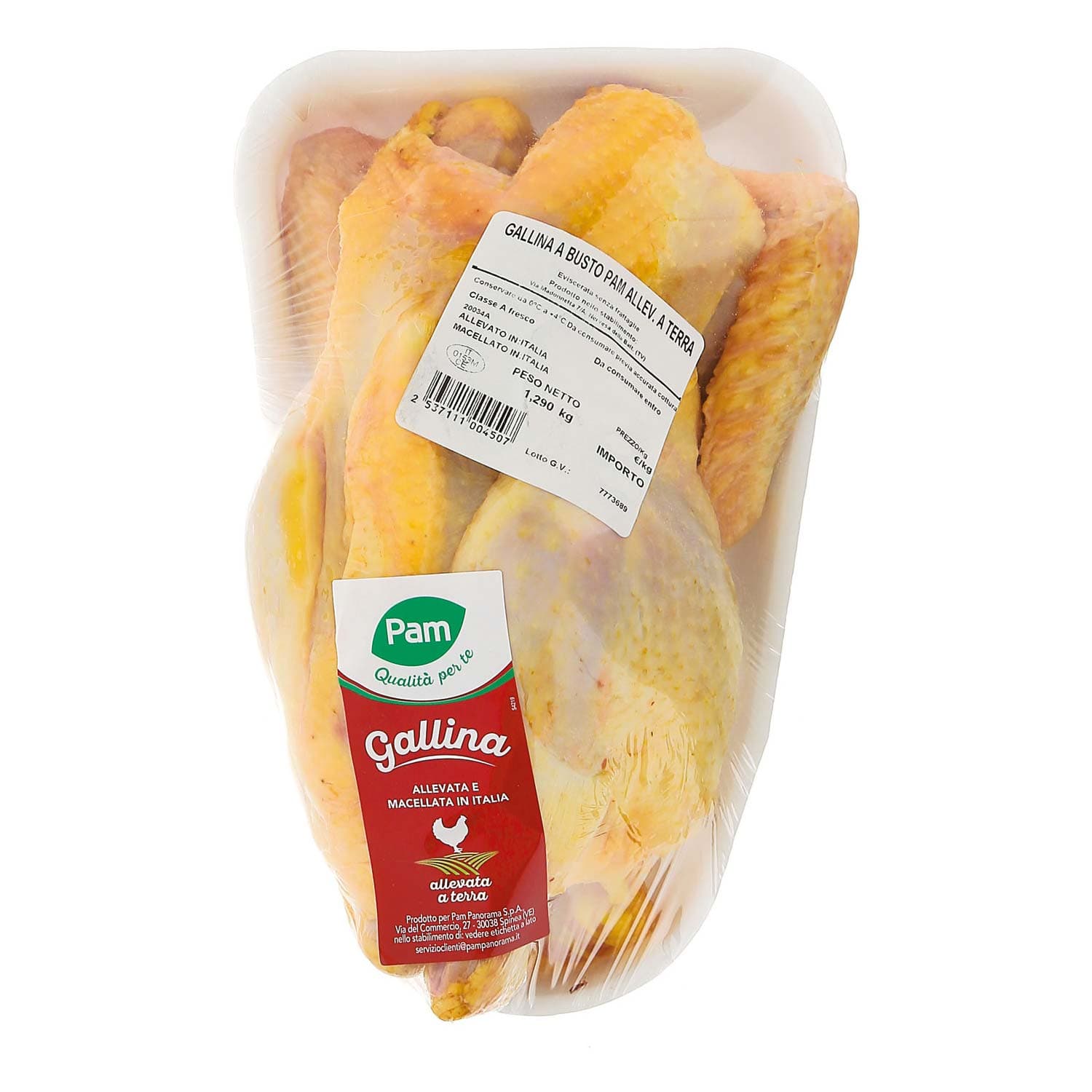 Gallina busto – immagine 4