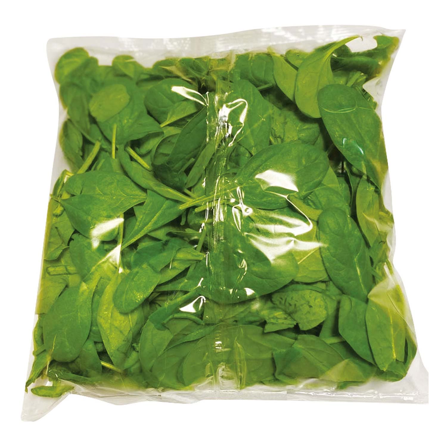 Spinacino 125 g – immagine 3