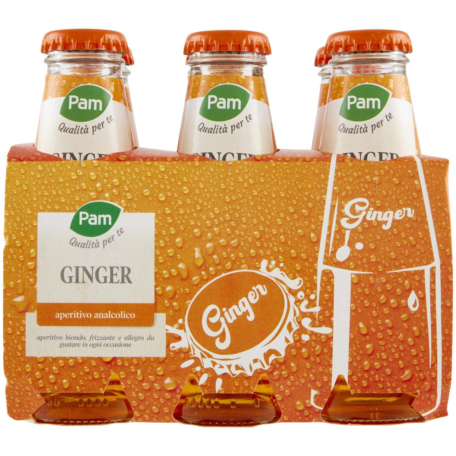 PAM PANORAMA Ginger 600 ml (100ml x 6) – immagine 3
