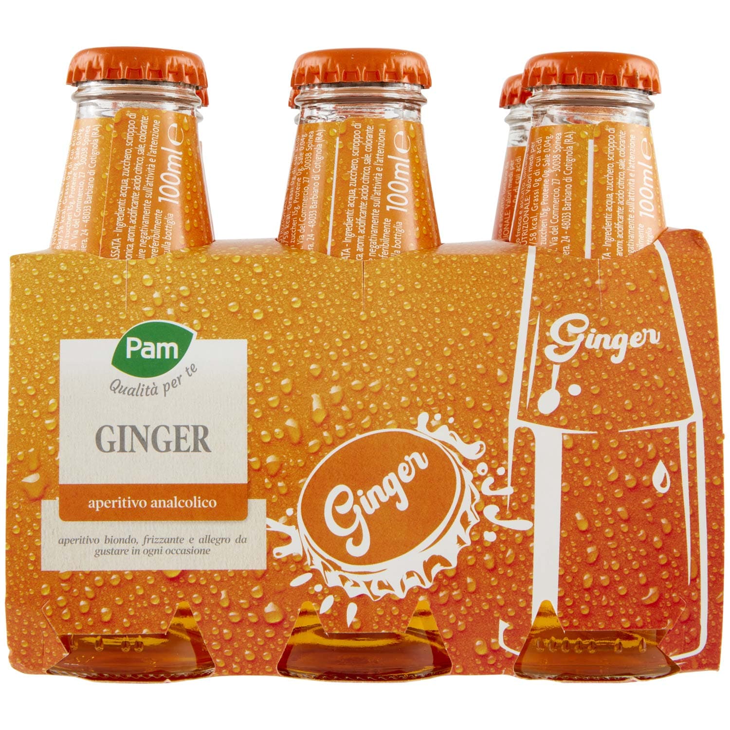 PAM PANORAMA Ginger 600 ml (100ml x 6) – immagine 5