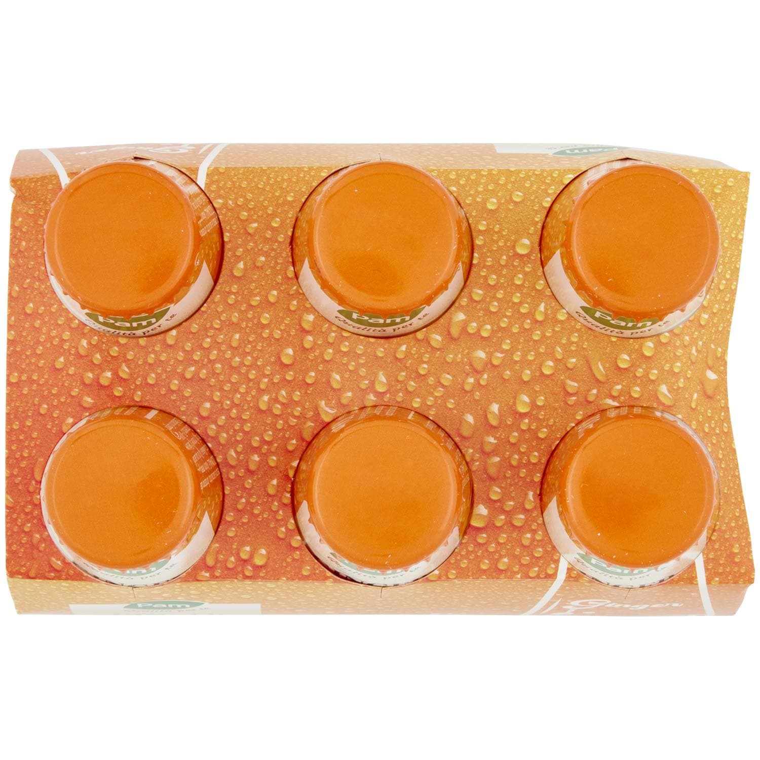 PAM PANORAMA Ginger 600 ml (100ml x 6) – immagine 7