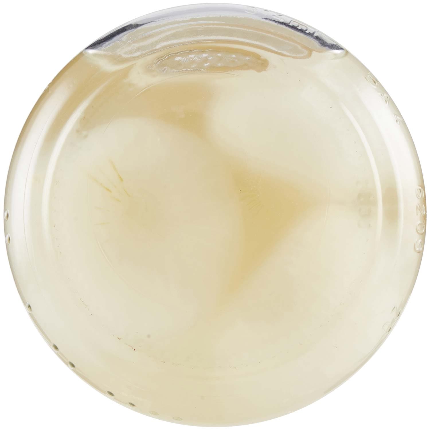 PAM PANORAMA Cipolline Borettane in Agrodolce 300 g – immagine 8