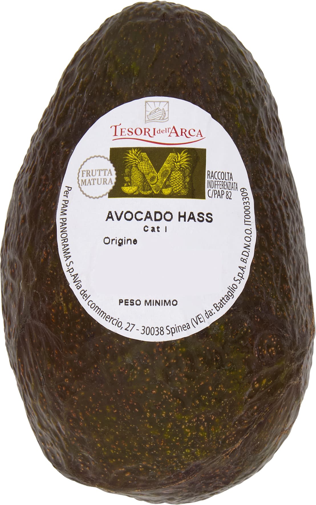 Avocado Hass Tesori dell’Arca